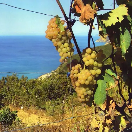 Alloggio per agriturismo La Foce Del Prato