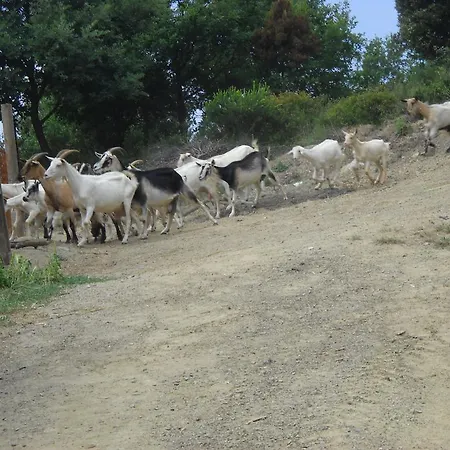 Farmház La Foce Del Prato Framura