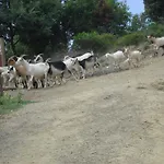 农家乐 La Foce Del Prato 弗拉穆拉