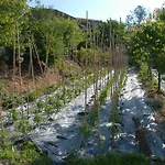 农家乐 La Foce Del Prato *