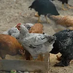 Gospodarstwo agroturystyczne La Foce Del Prato Framura