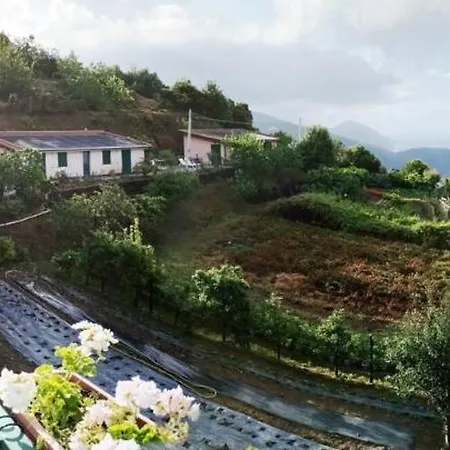 ファームステイ La Foce Del Prato *