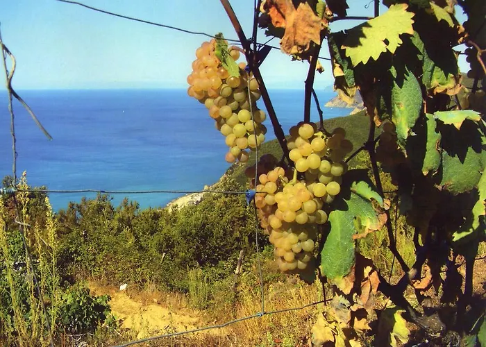 مزرعة للإقامة La Foce Del Prato