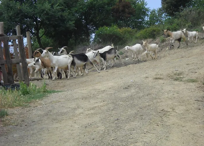 مزرعة للإقامة La Foce Del Prato فرامورا