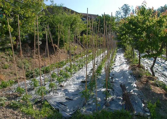 مزرعة للإقامة La Foce Del Prato *