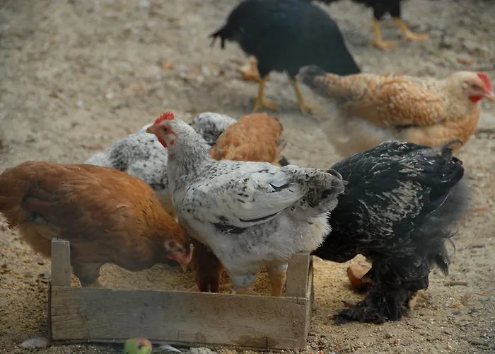 مزرعة للإقامة La Foce Del Prato فرامورا